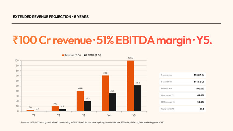 Depra AI — Revenue projection